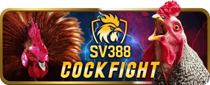 Hướng dẫn chơi Nổ Hũ tại zbet88 nổ hũ